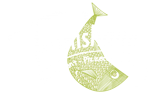 Logo web_Zeichenfläche 1